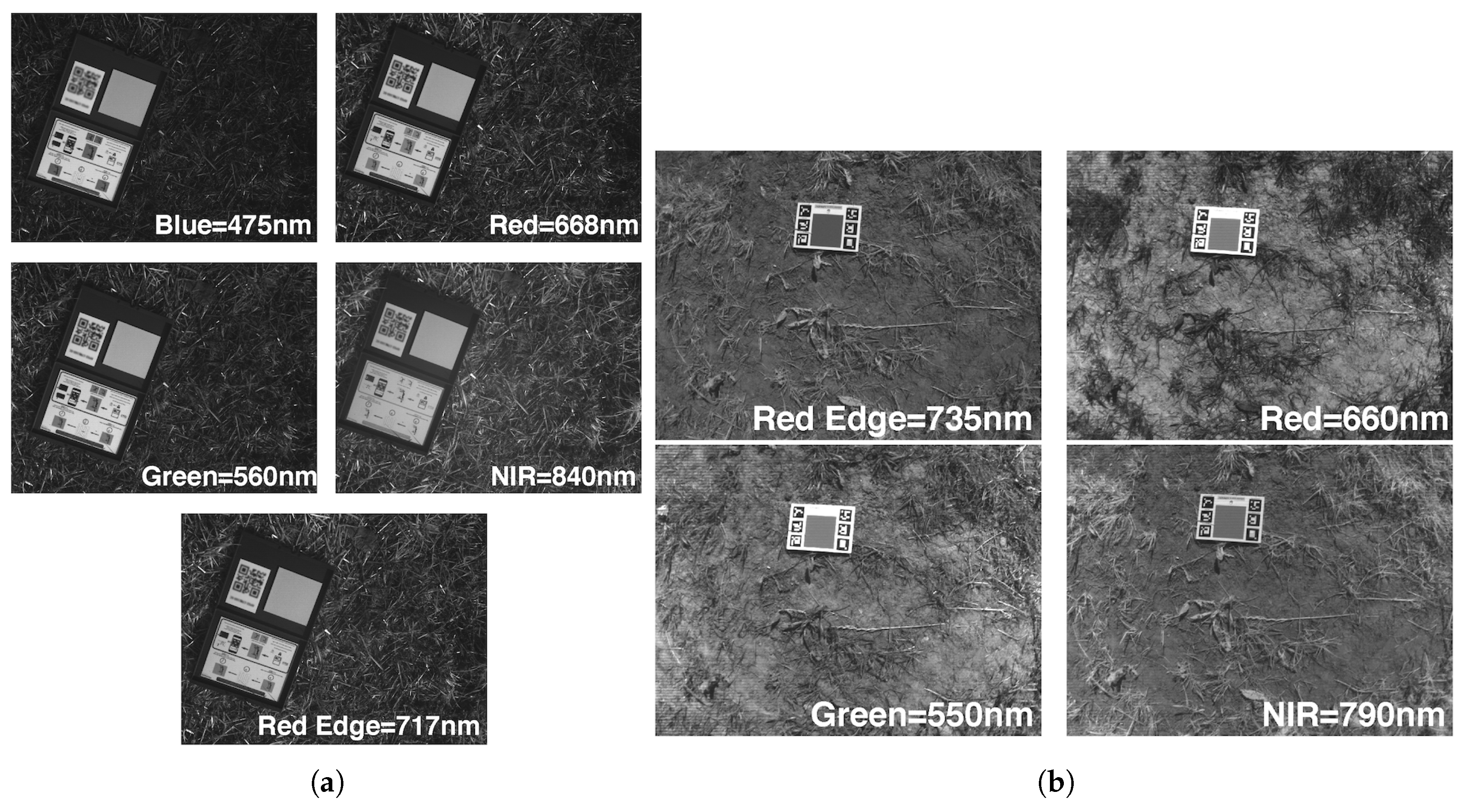 Remotesensing 10 01423 g007