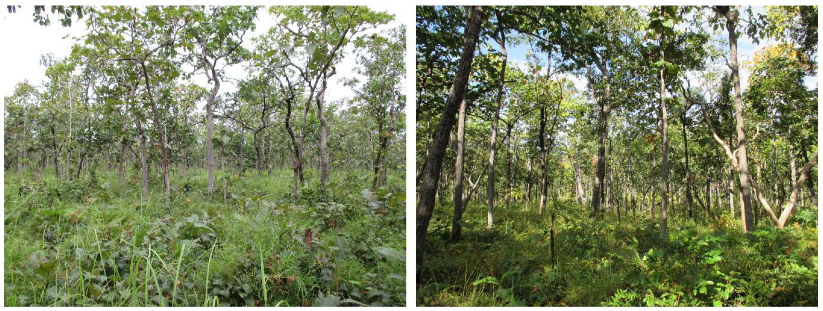 Remotesensing 10 01446 g002