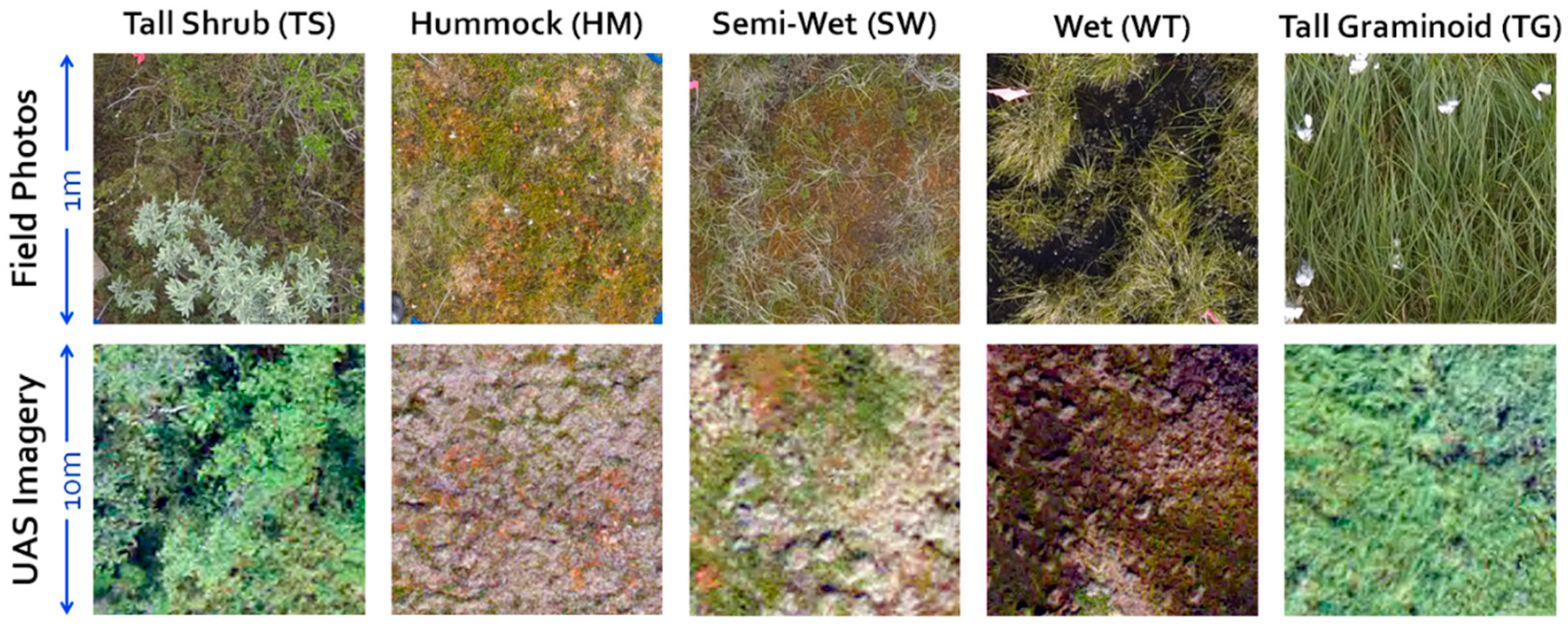 Remotesensing 10 01498 g004 Remotesensing 10 01498 g004