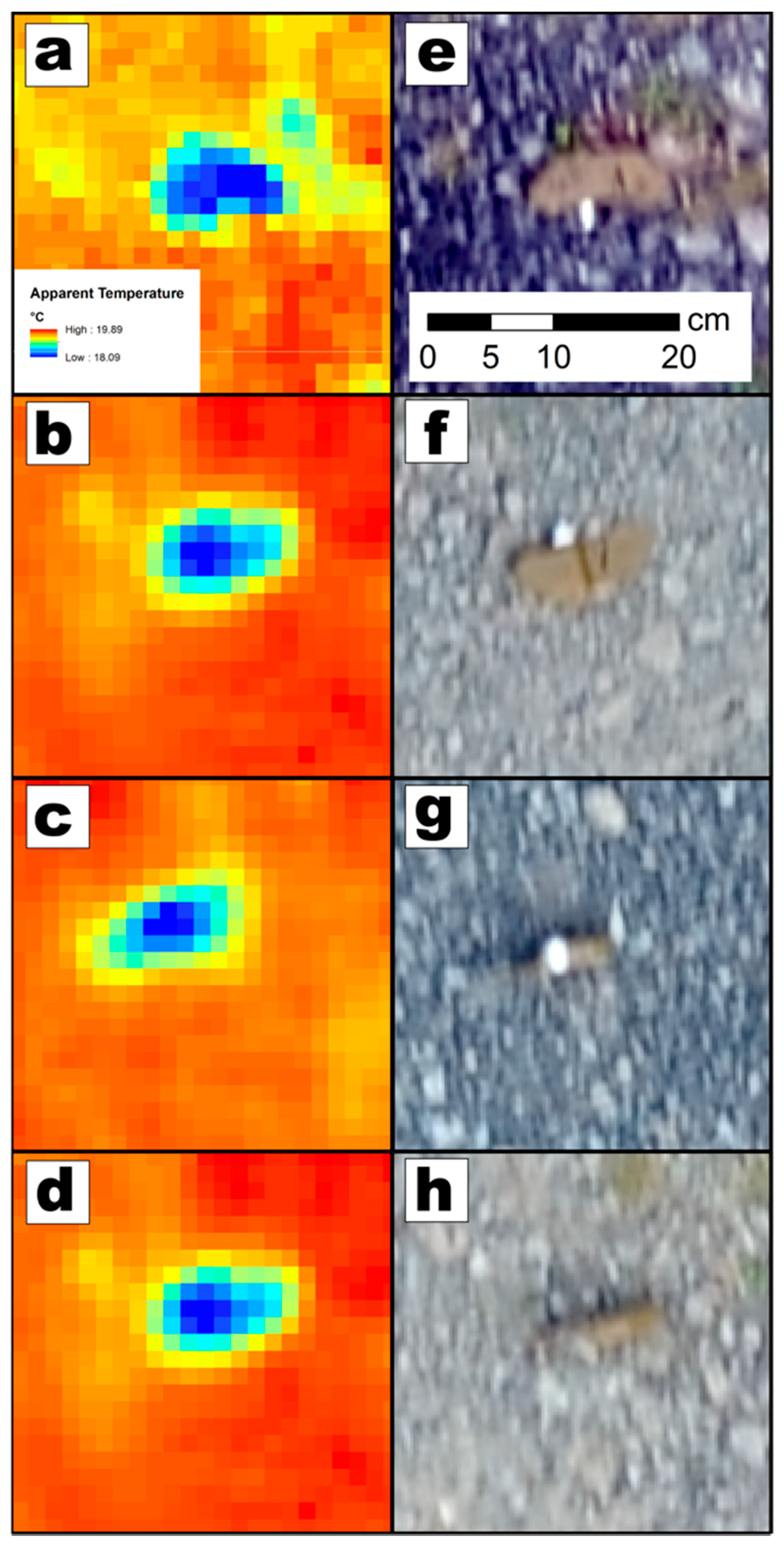 Remotesensing 10 01672 g005