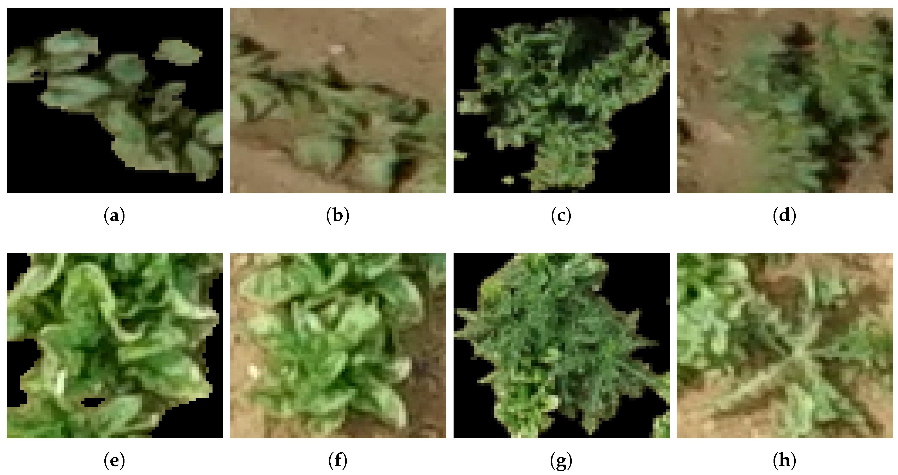 Remotesensing 10 01690 g007 Remotesensing 10 01690 g007