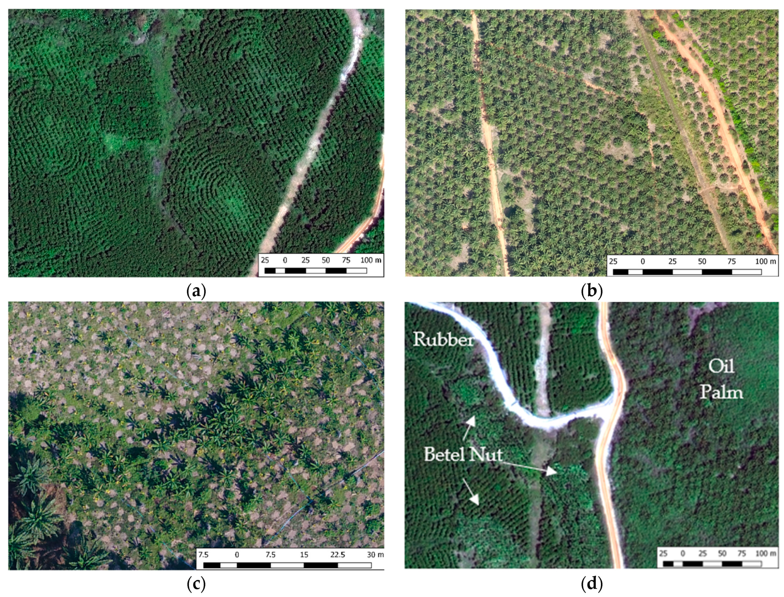 Remotesensing 10 01693 g004 Remotesensing 10 01693 g004