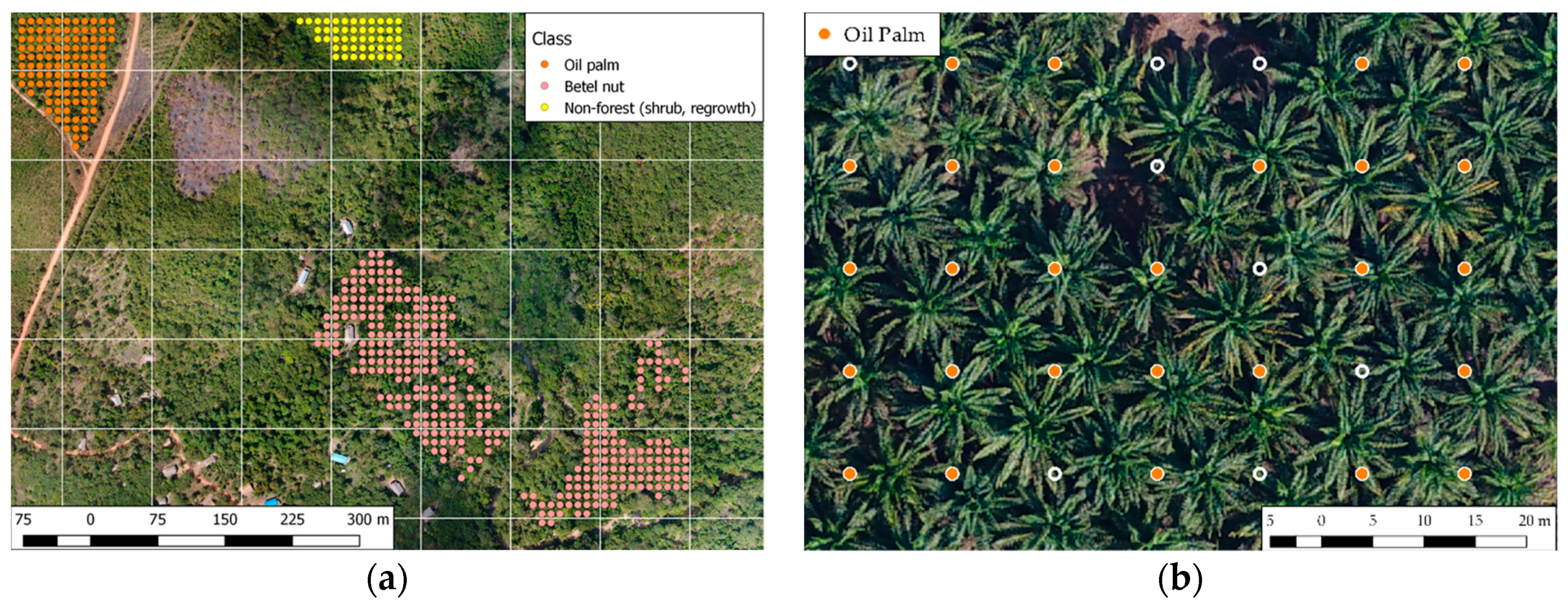 Remotesensing 10 01693 g005 Remotesensing 10 01693 g005