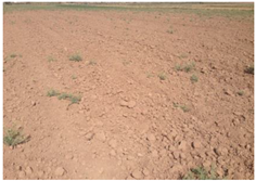 Remotesensing 10 01711 i001