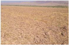 Remotesensing 10 01711 i002