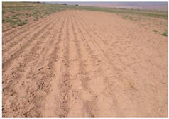 Remotesensing 10 01711 i003