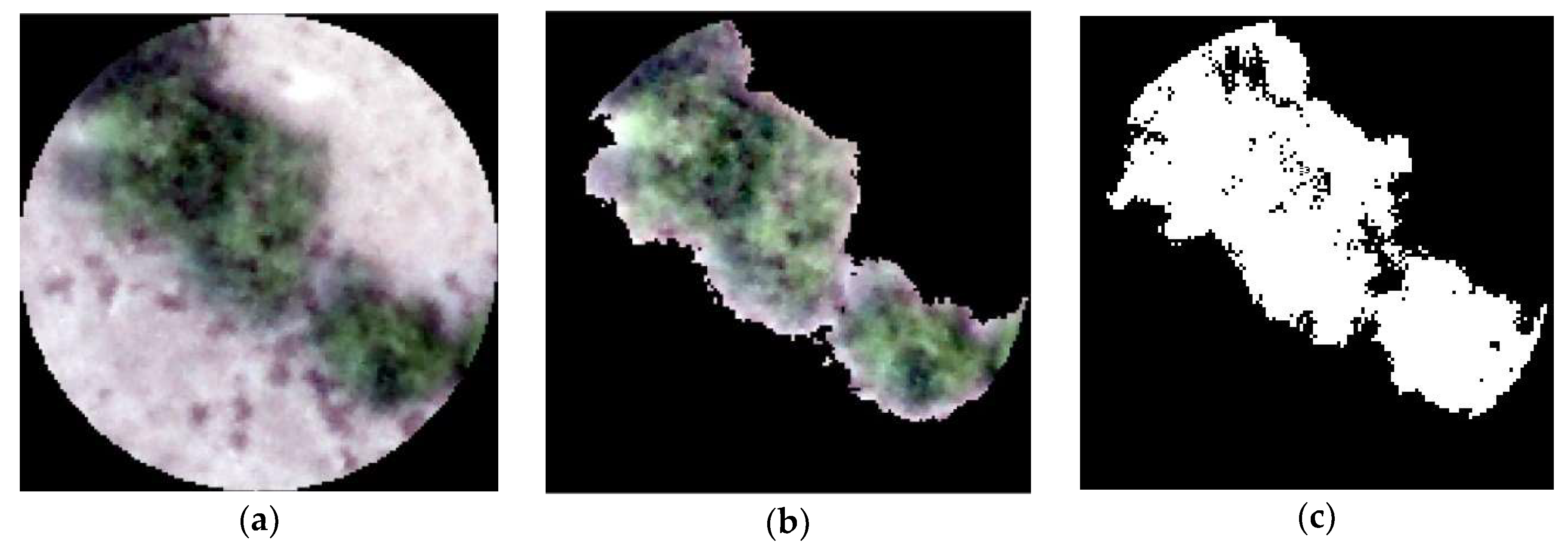 Remotesensing 10 01739 g003