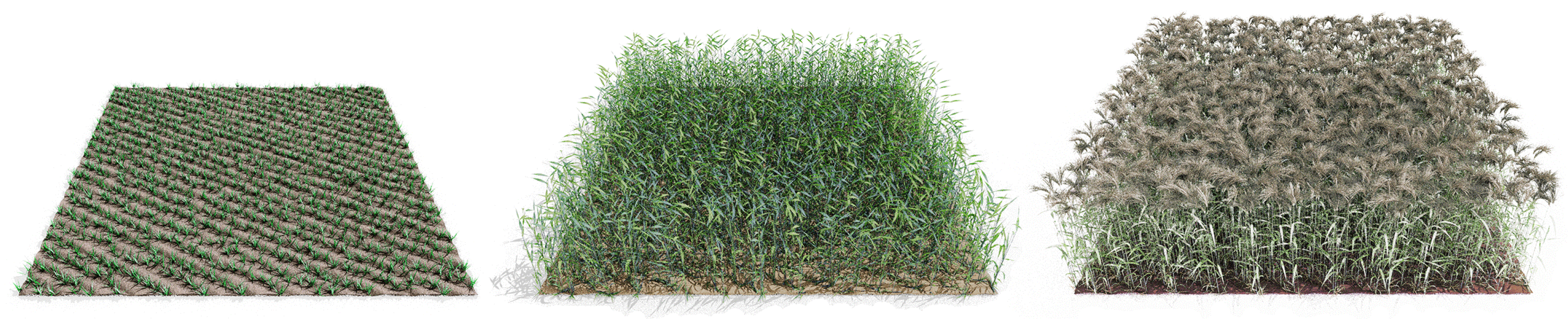 Remotesensing 10 01767 g002 Remotesensing 10 01767 g002