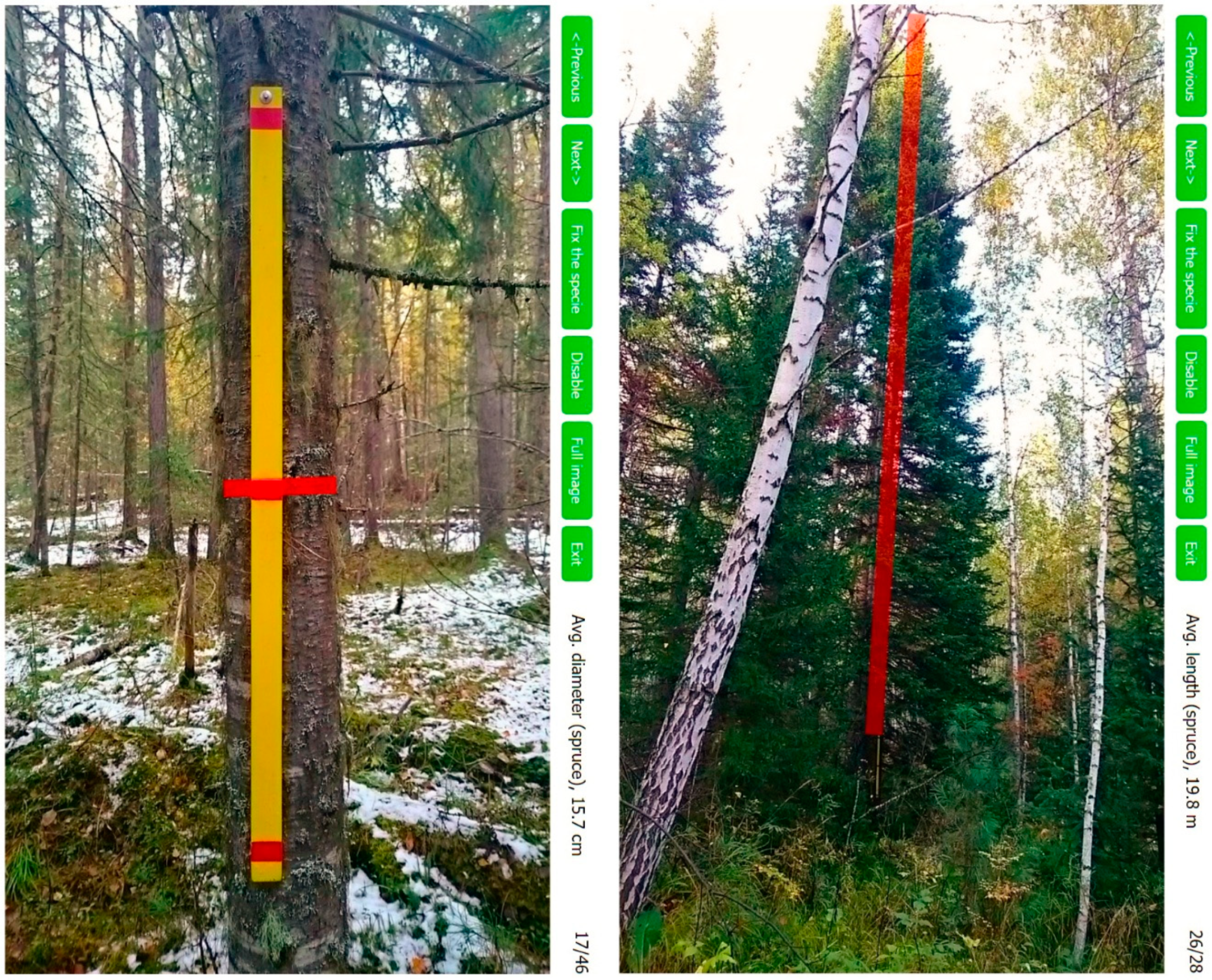 Remotesensing 10 01796 g006