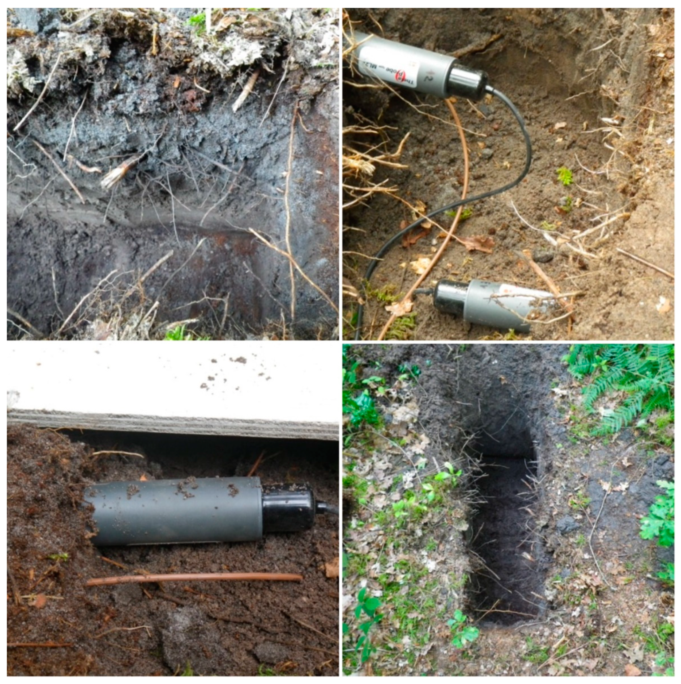 Remotesensing 10 01839 g002