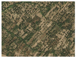 Remotesensing 10 01862 i002