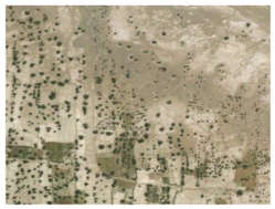 Remotesensing 10 01862 i004