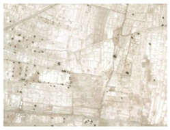 Remotesensing 10 01862 i005