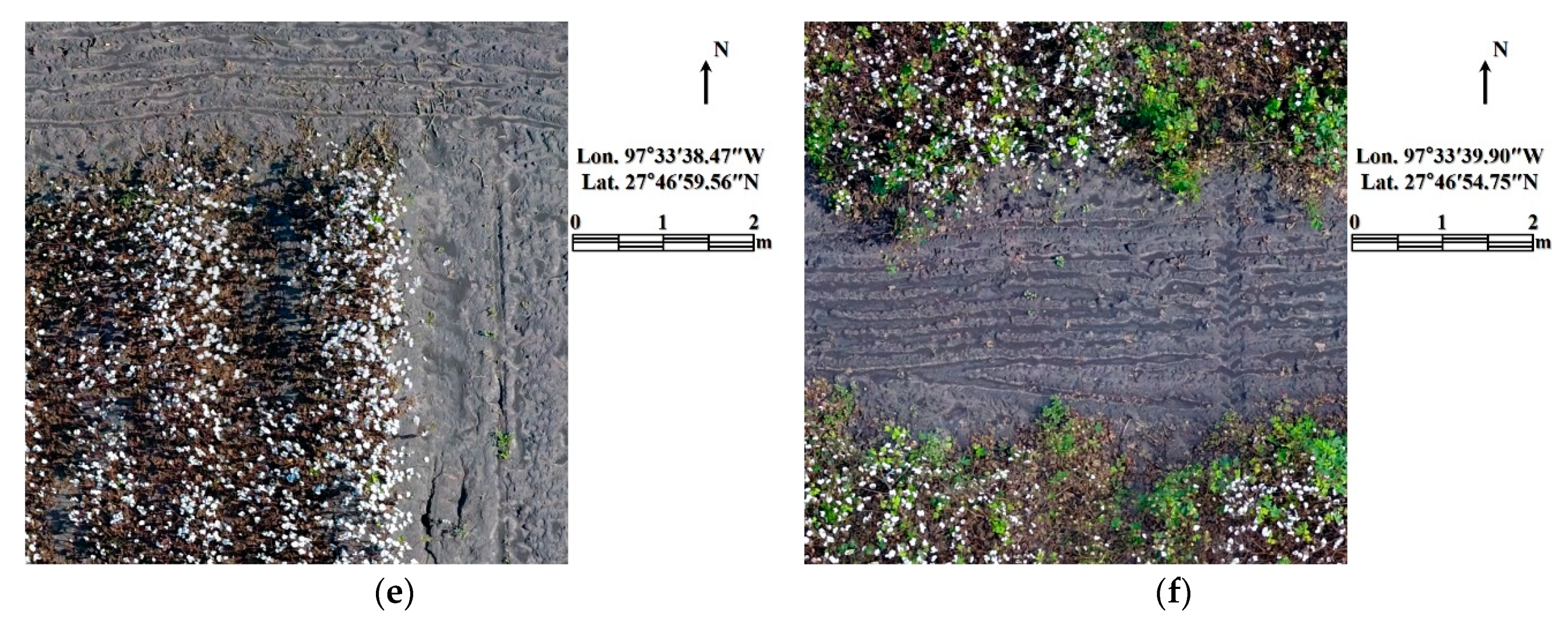 Remotesensing 10 01895 g004b