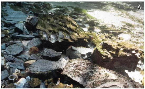 Remotesensing 10 01912 g0a1a