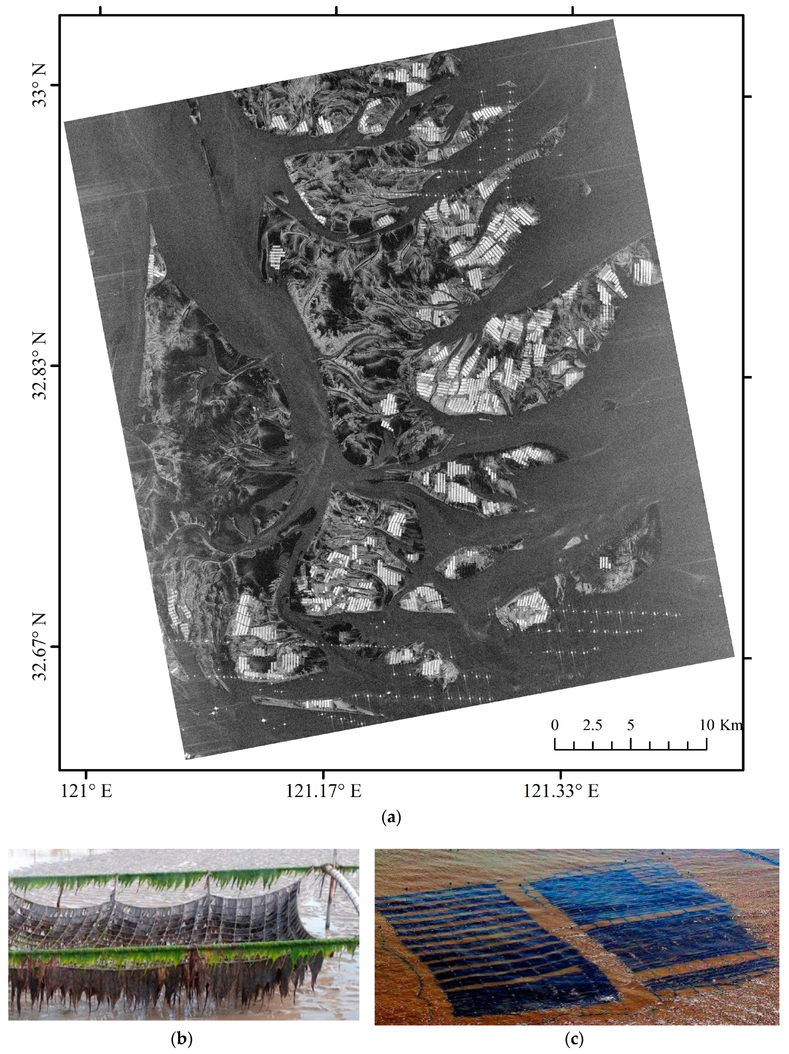 Remotesensing 10 01929 g001a