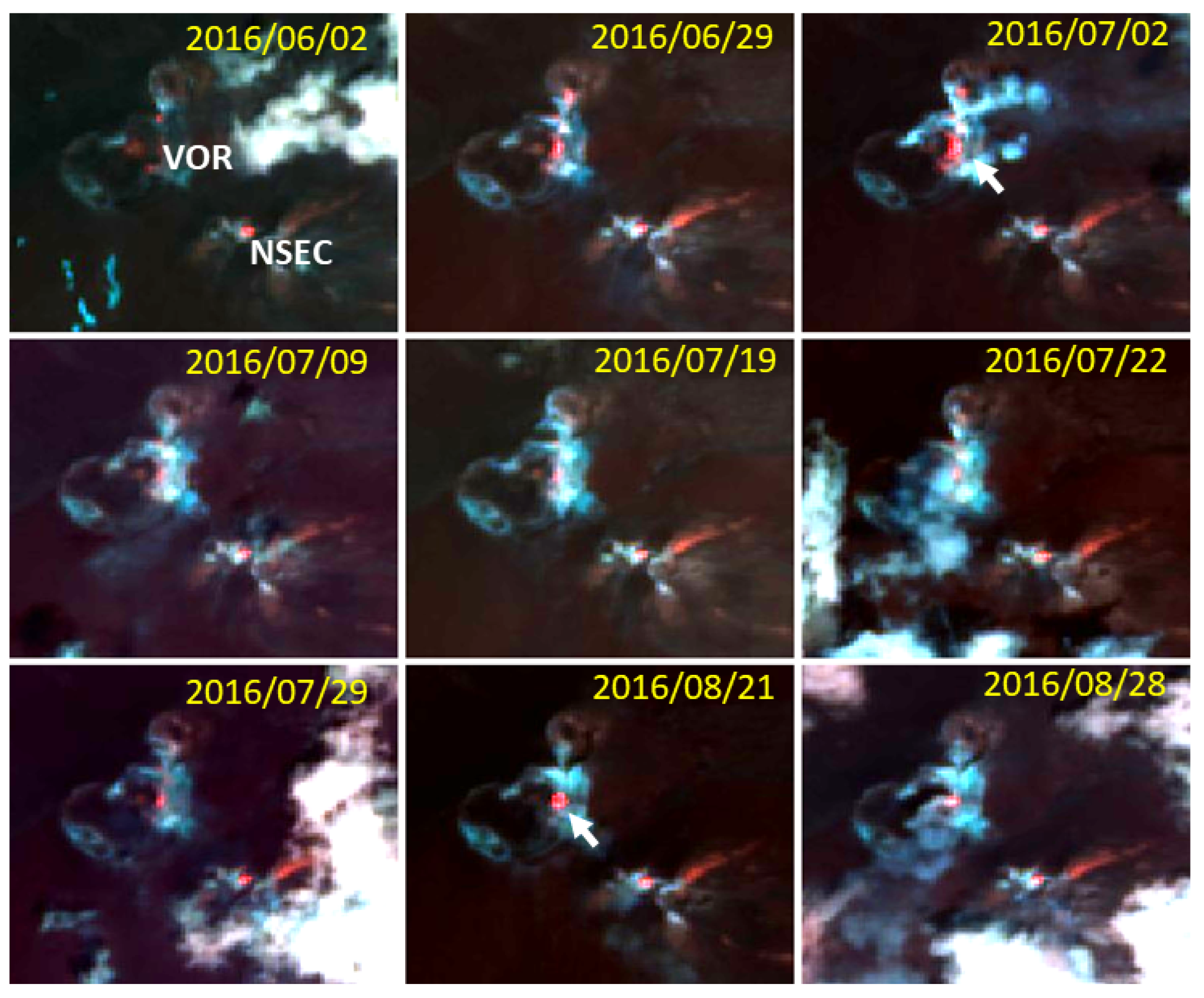 Remotesensing 10 01948 g007