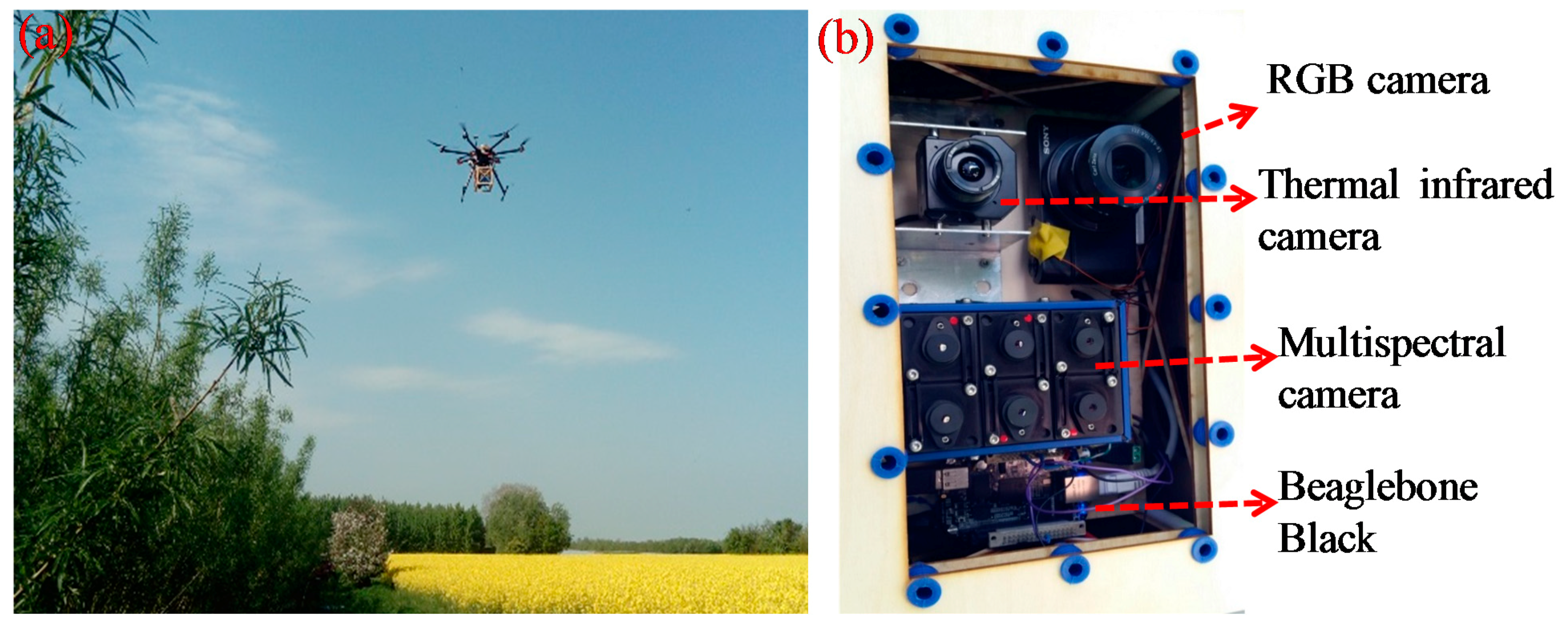 Remotesensing 10 01978 g002