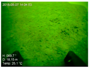 Remotesensing 10 01983 i002 Remotesensing 10 01983 i002