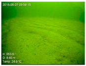 Remotesensing 10 01983 i004 Remotesensing 10 01983 i004