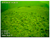 Remotesensing 10 01983 i006 Remotesensing 10 01983 i006