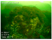 Remotesensing 10 01983 i010 Remotesensing 10 01983 i010