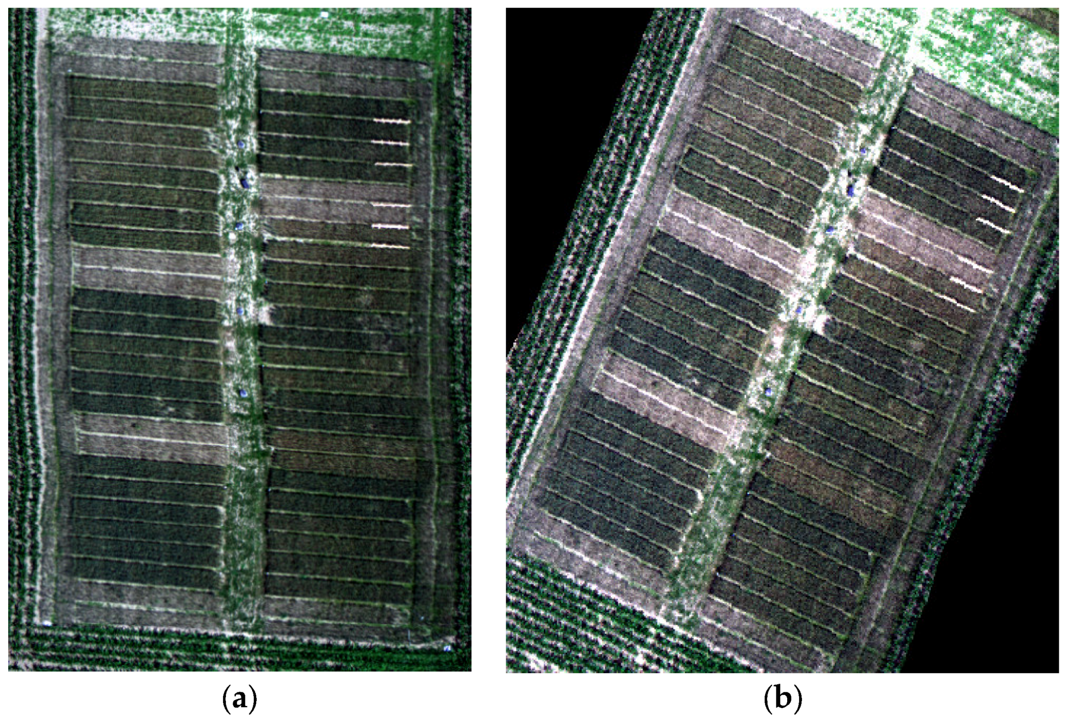 Remotesensing 10 02000 g004