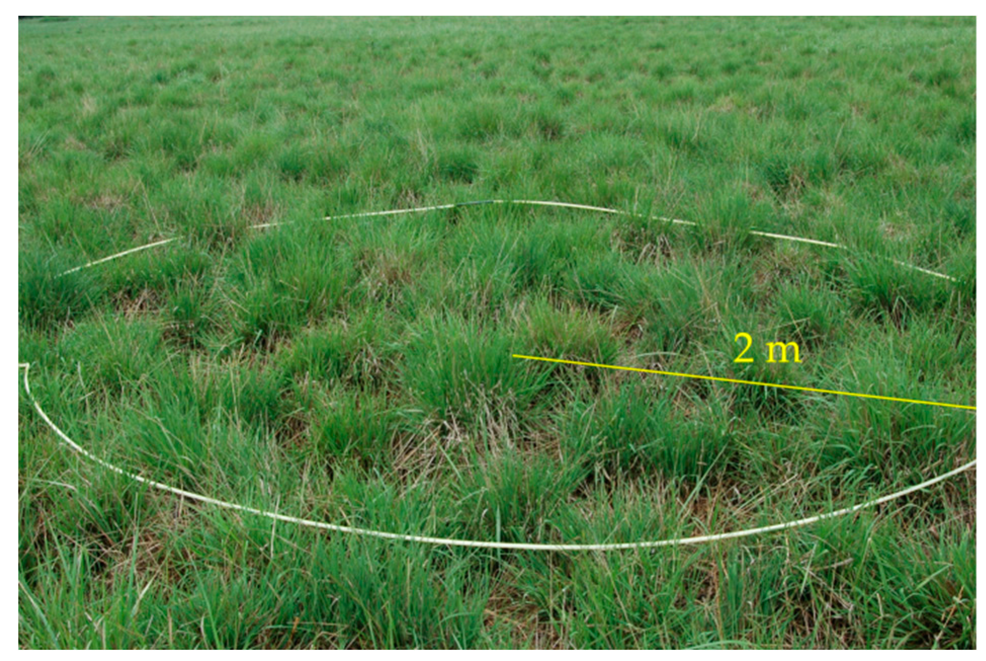 Remotesensing 10 02019 g004