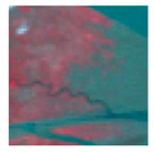 Remotesensing 10 02020 i002 Remotesensing 10 02020 i002