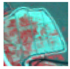 Remotesensing 10 02020 i010 Remotesensing 10 02020 i010