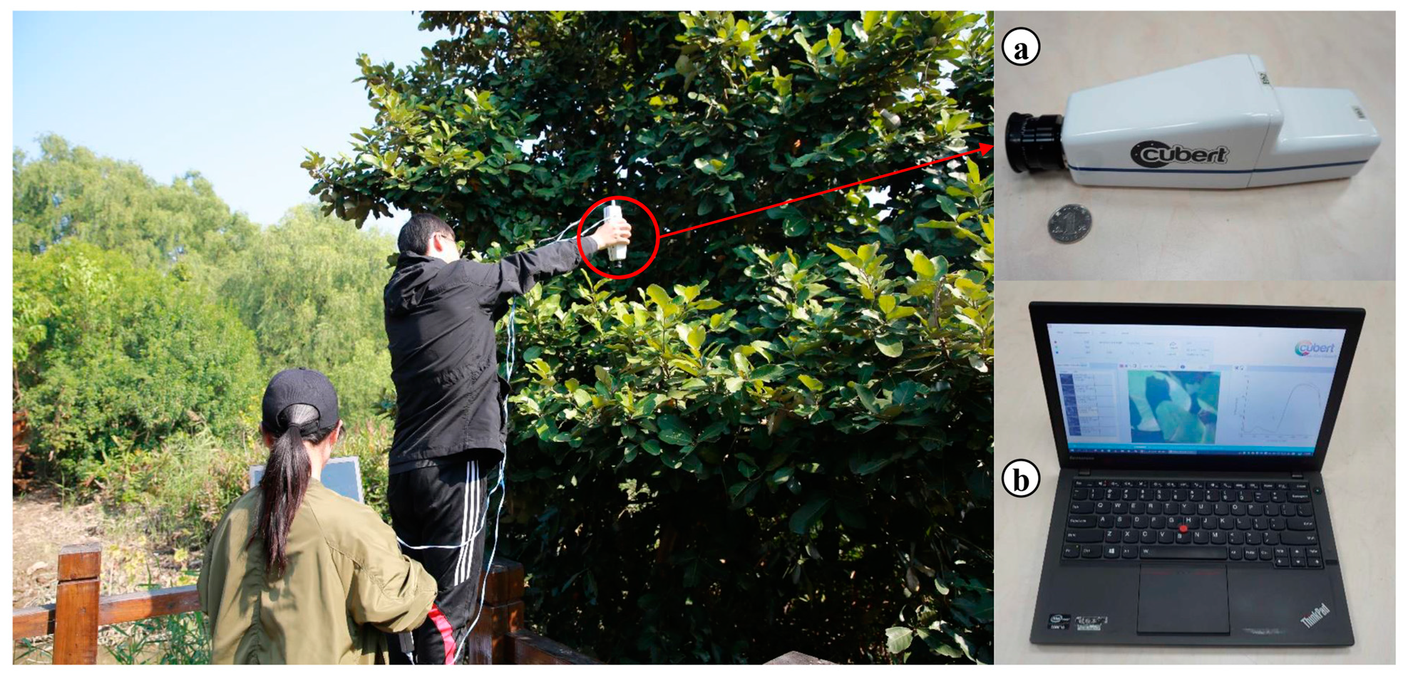 Remotesensing 10 02047 g003