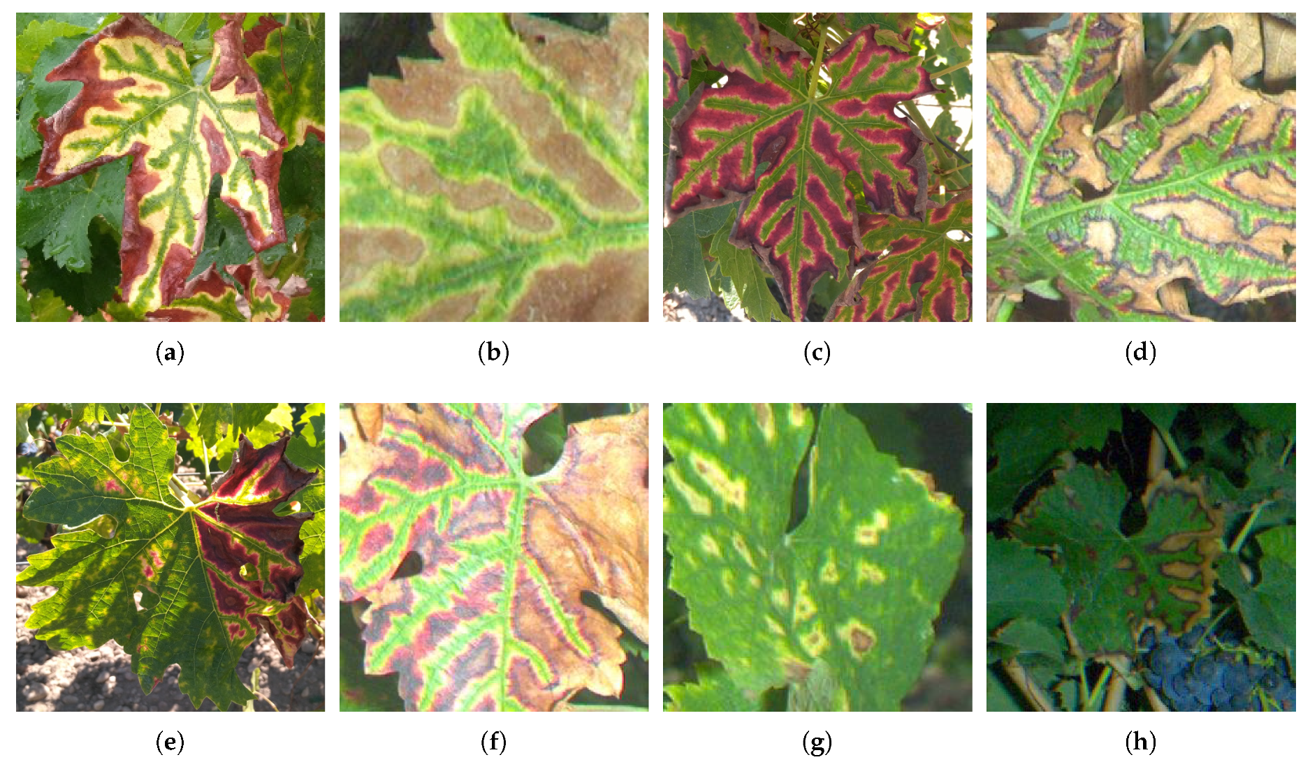 Remotesensing 11 00001 g001 Remotesensing 11 00001 g001