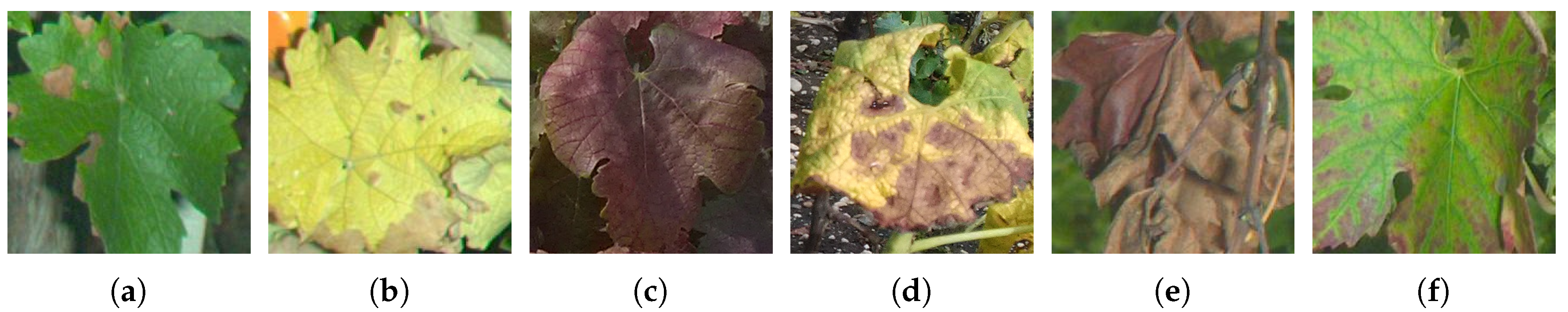 Remotesensing 11 00001 g002 Remotesensing 11 00001 g002