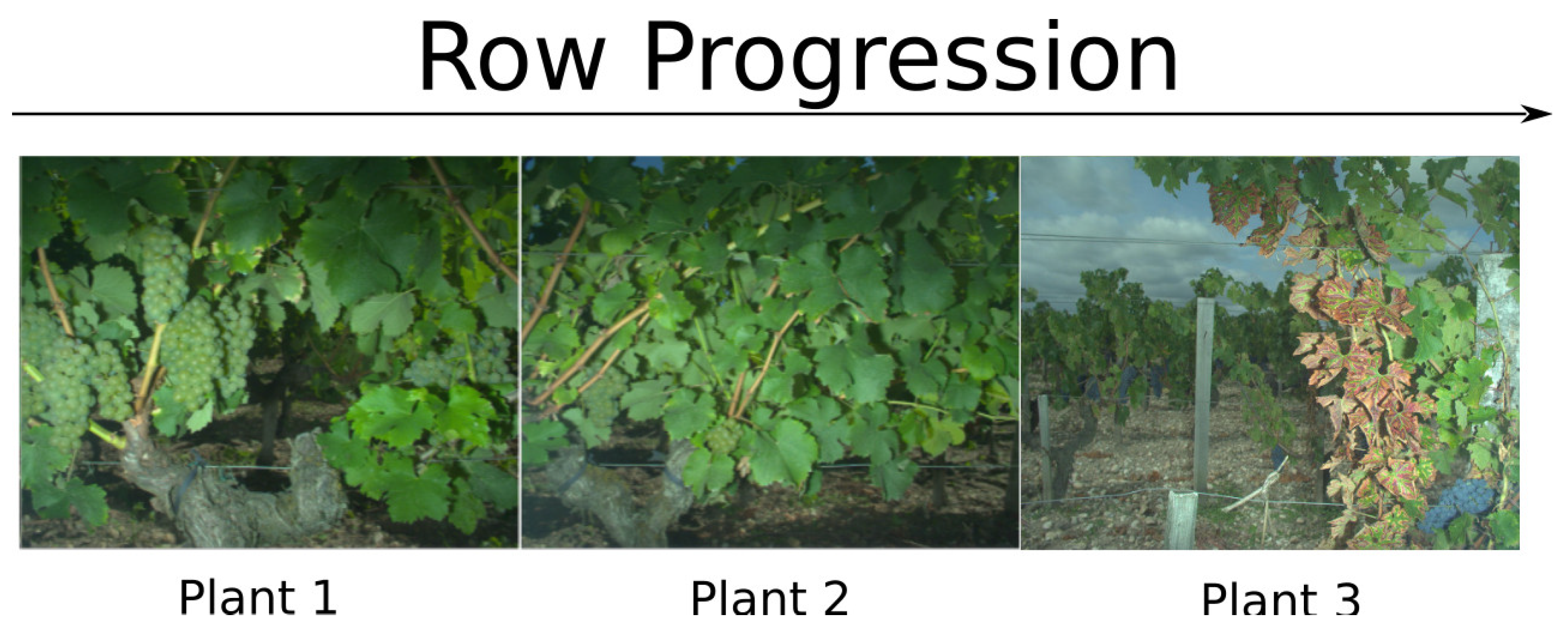 Remotesensing 11 00001 g004 Remotesensing 11 00001 g004