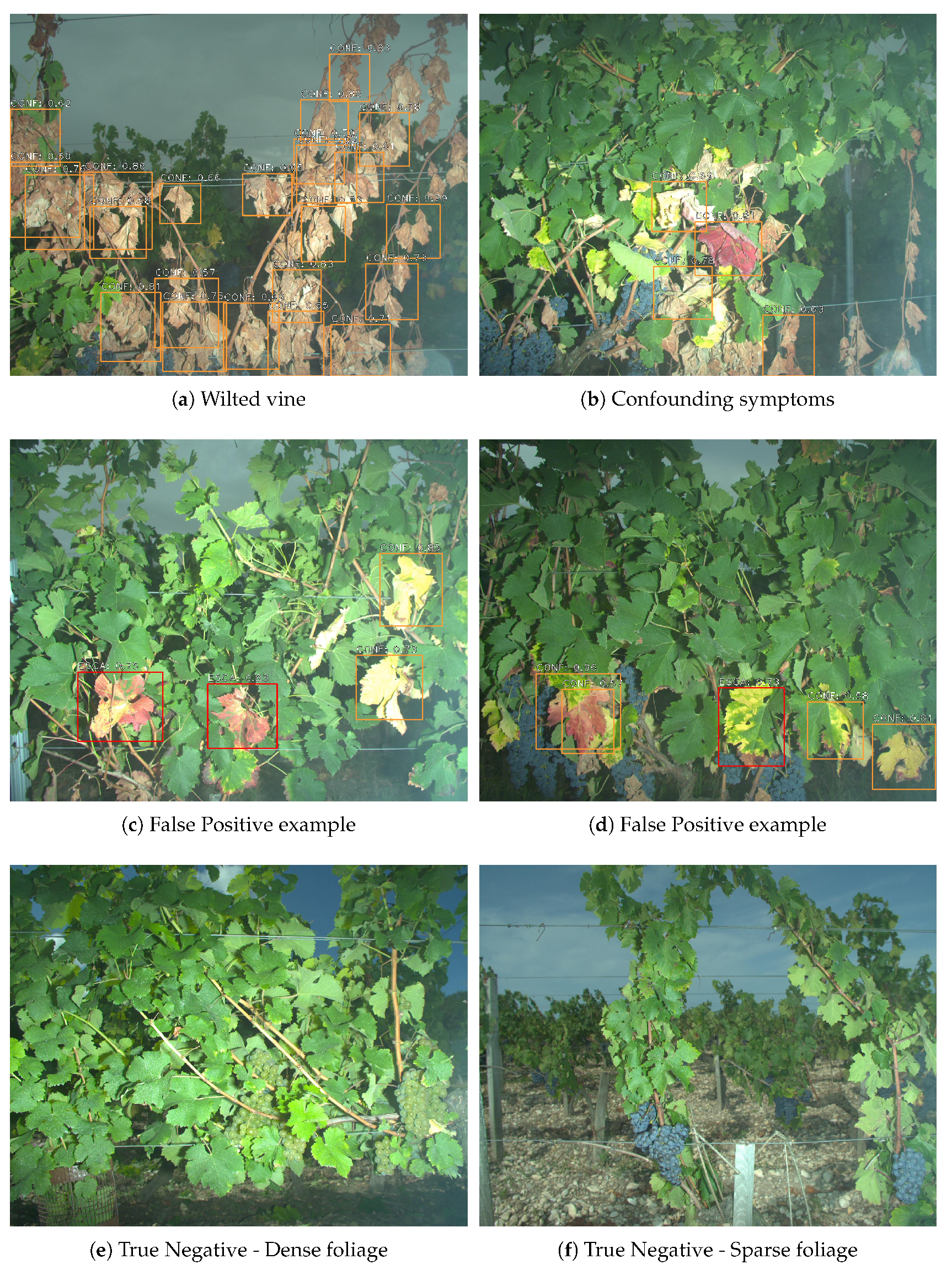 Remotesensing 11 00001 g013 Remotesensing 11 00001 g013