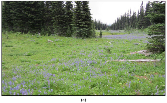 Remotesensing 11 00003 g0a1a 550