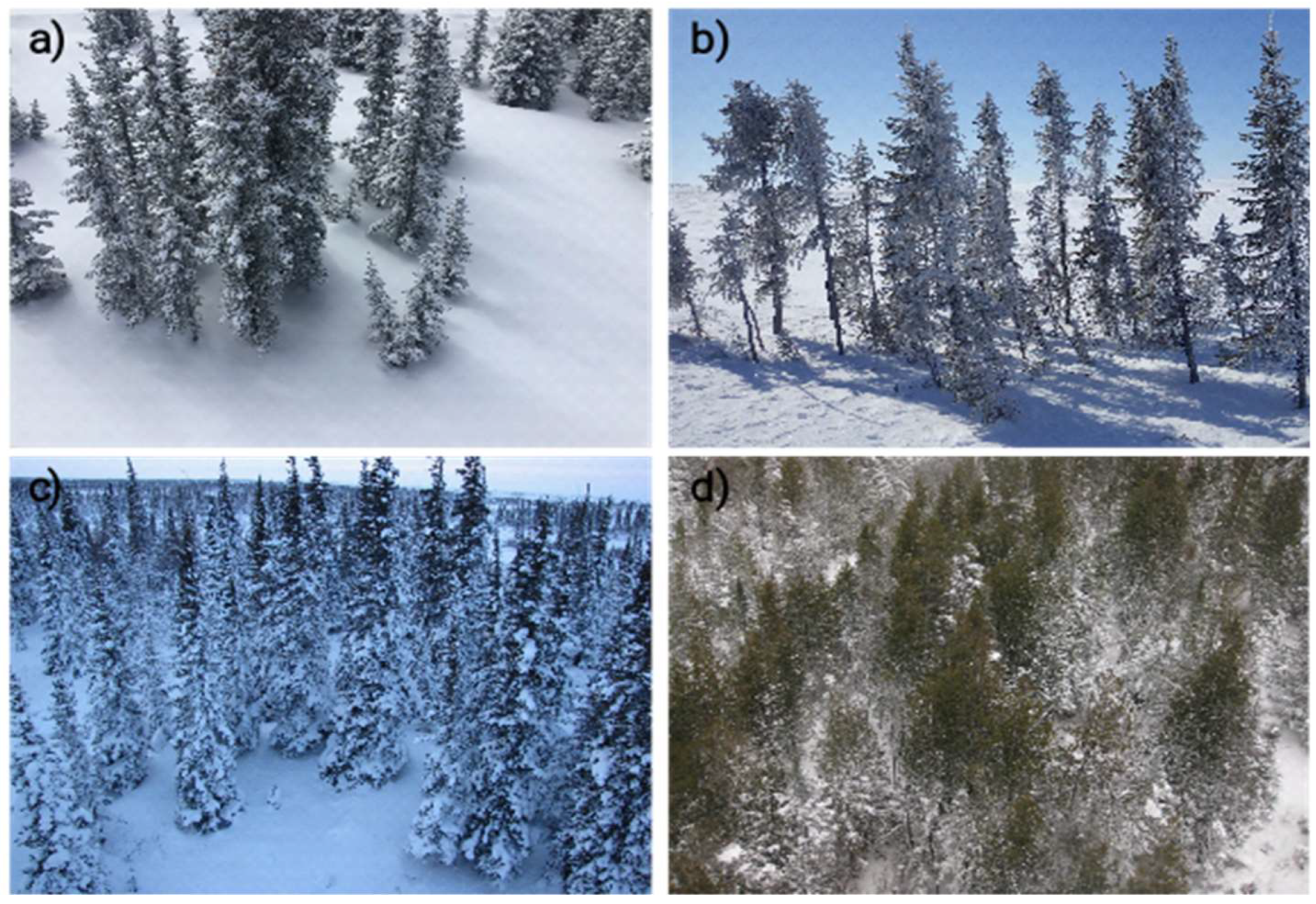 Remotesensing 11 00006 g003