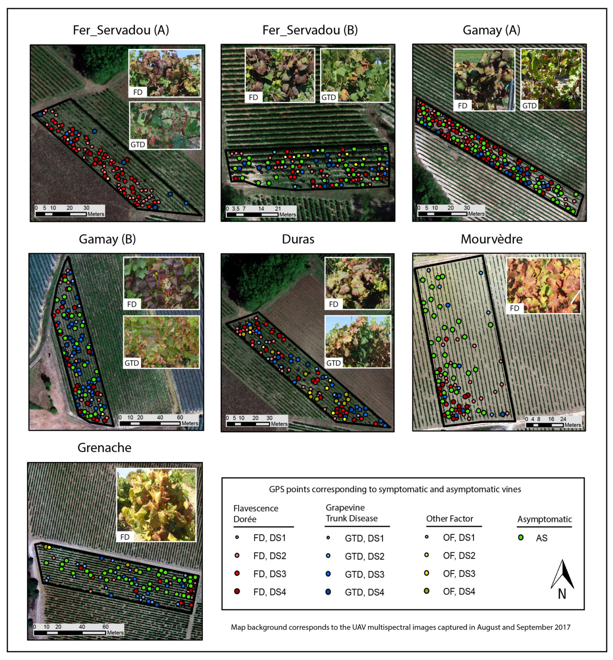 Remotesensing 11 00023 g004