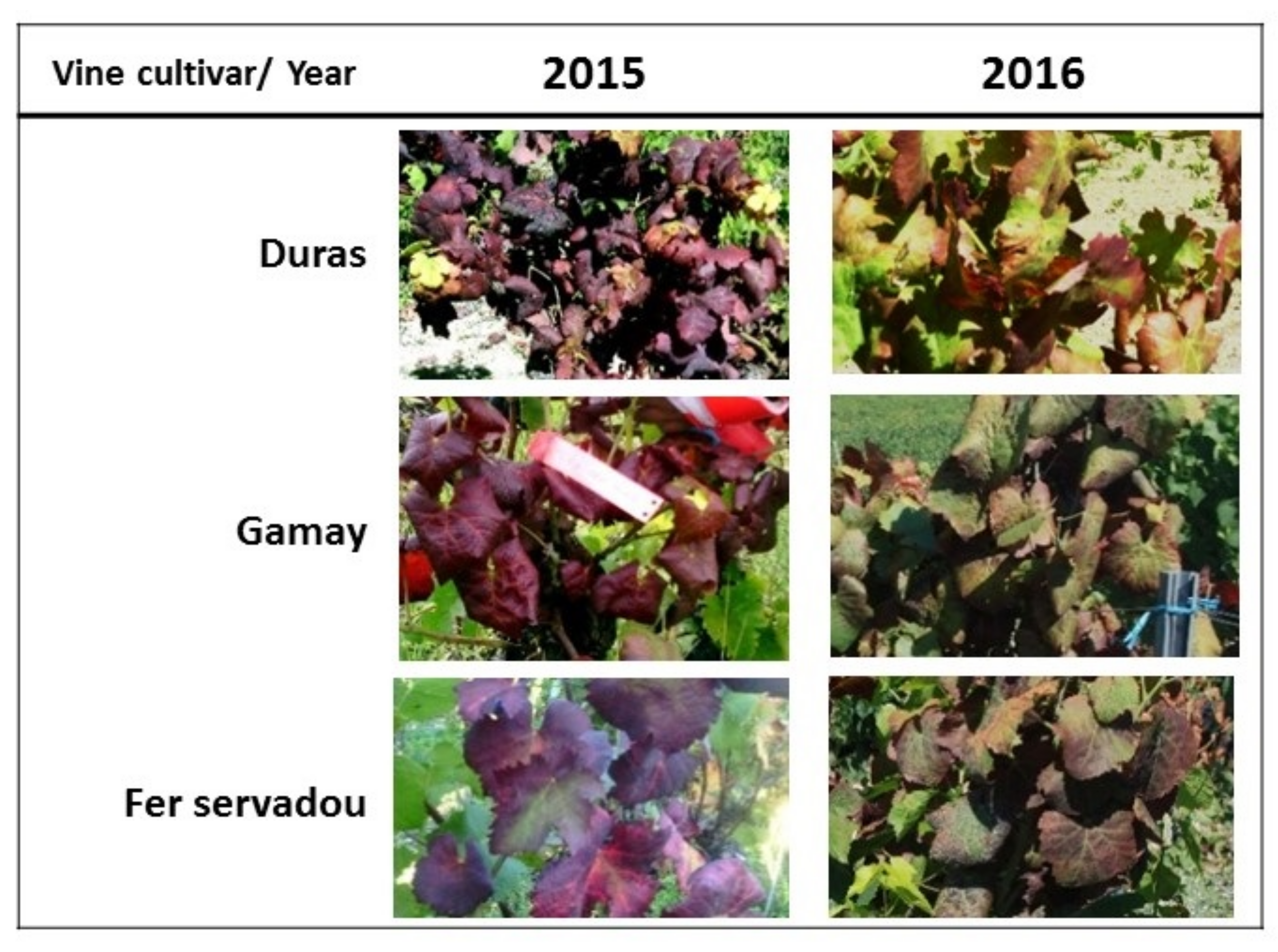 Remotesensing 11 00023 g010