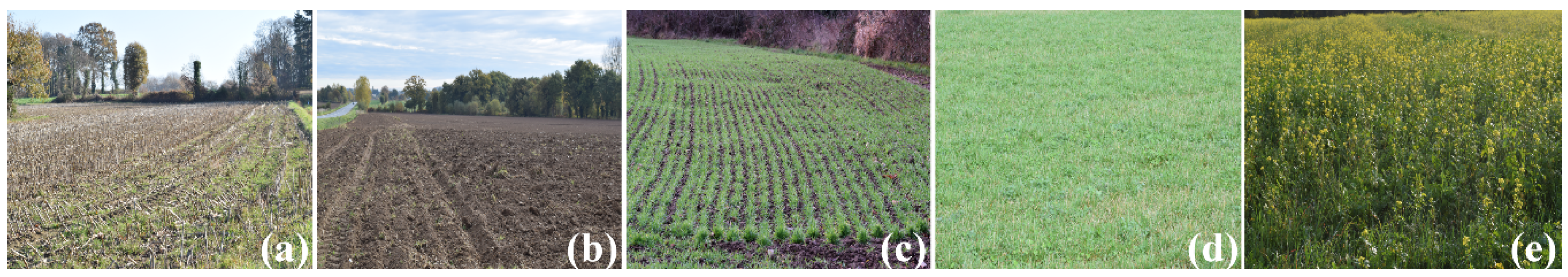 Remotesensing 11 00037 g002