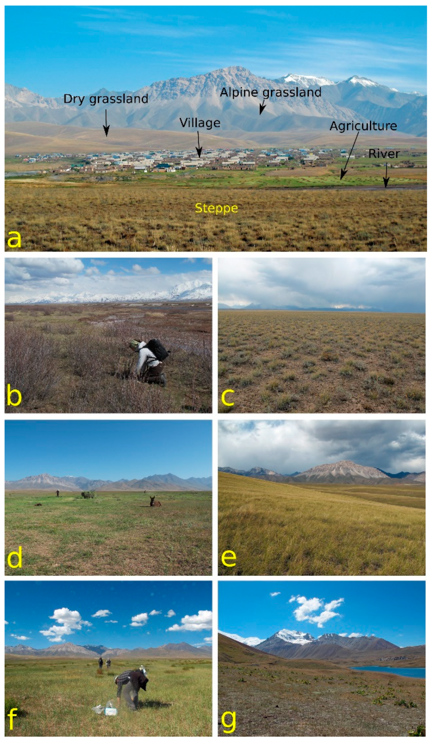 Remotesensing 11 00039 g003