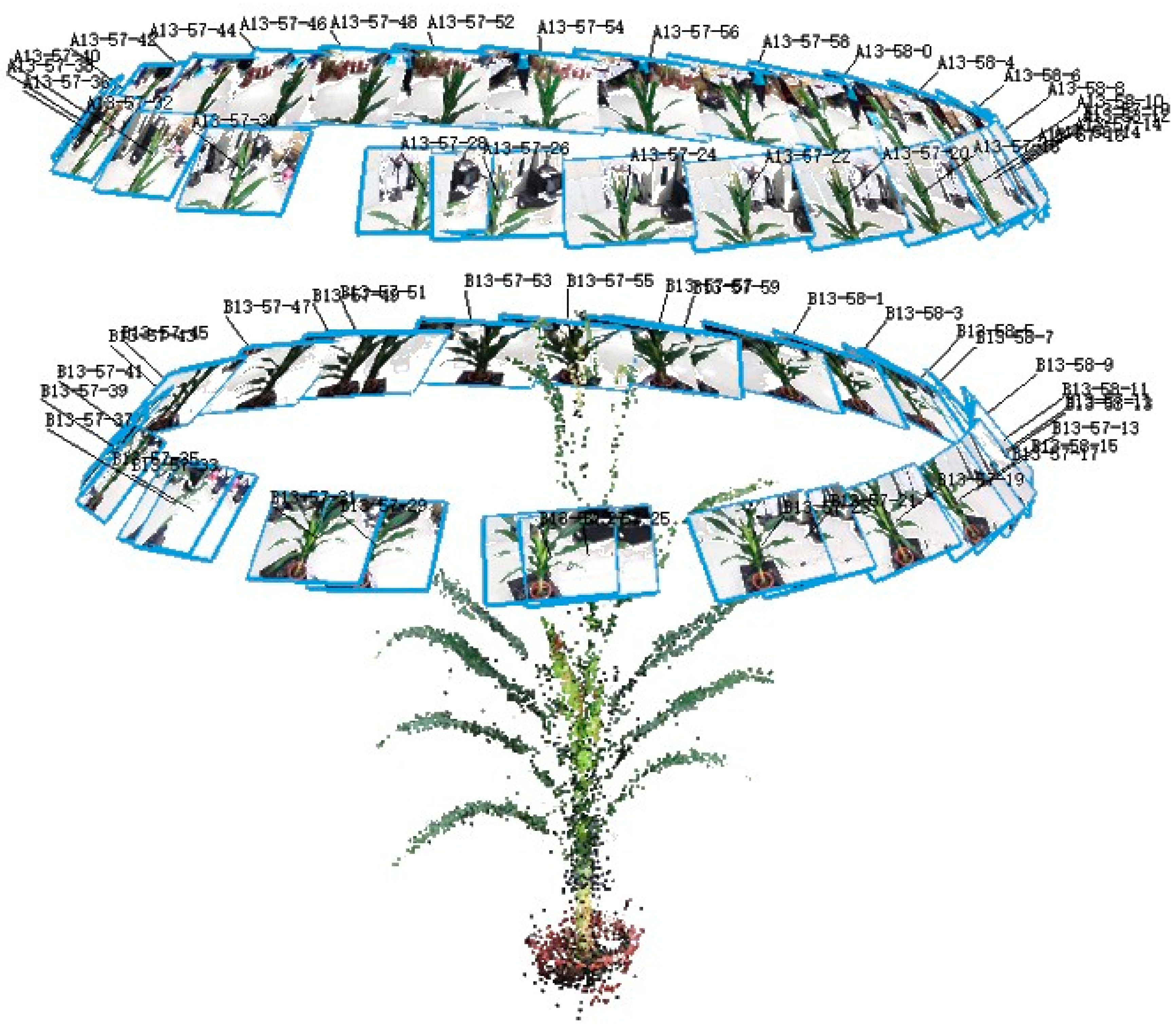 Remotesensing 11 00063 g002