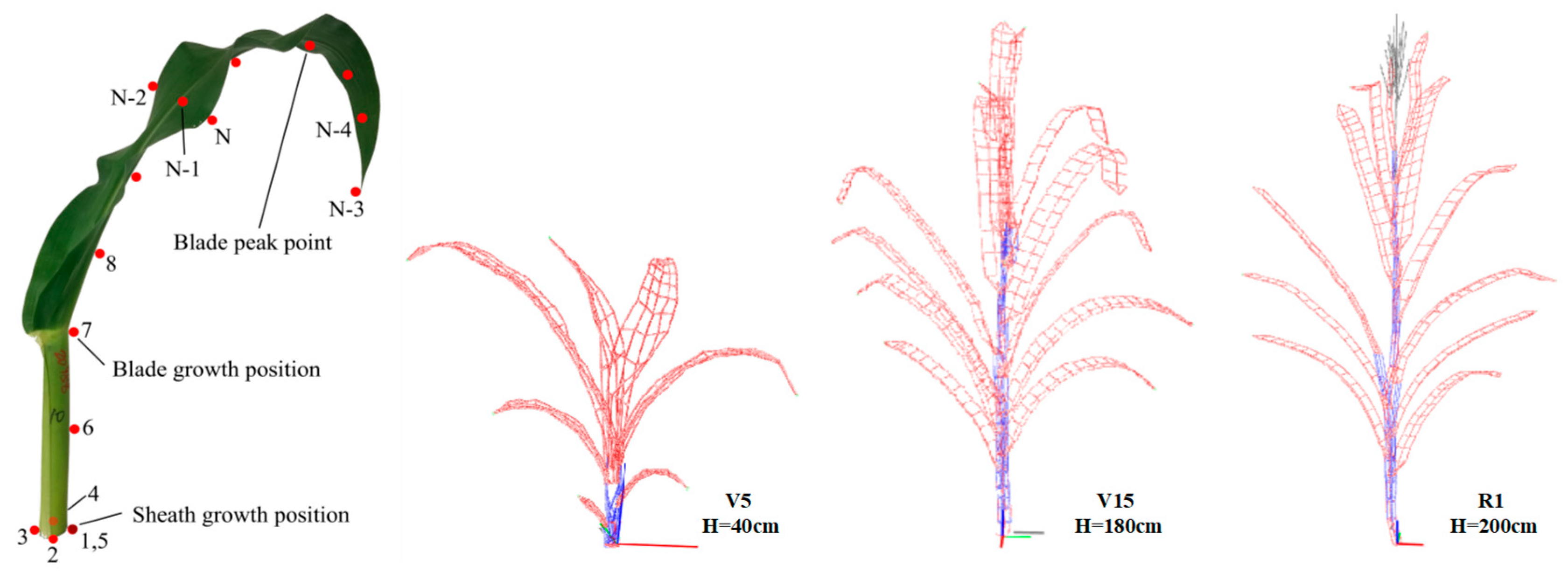 Remotesensing 11 00063 g003