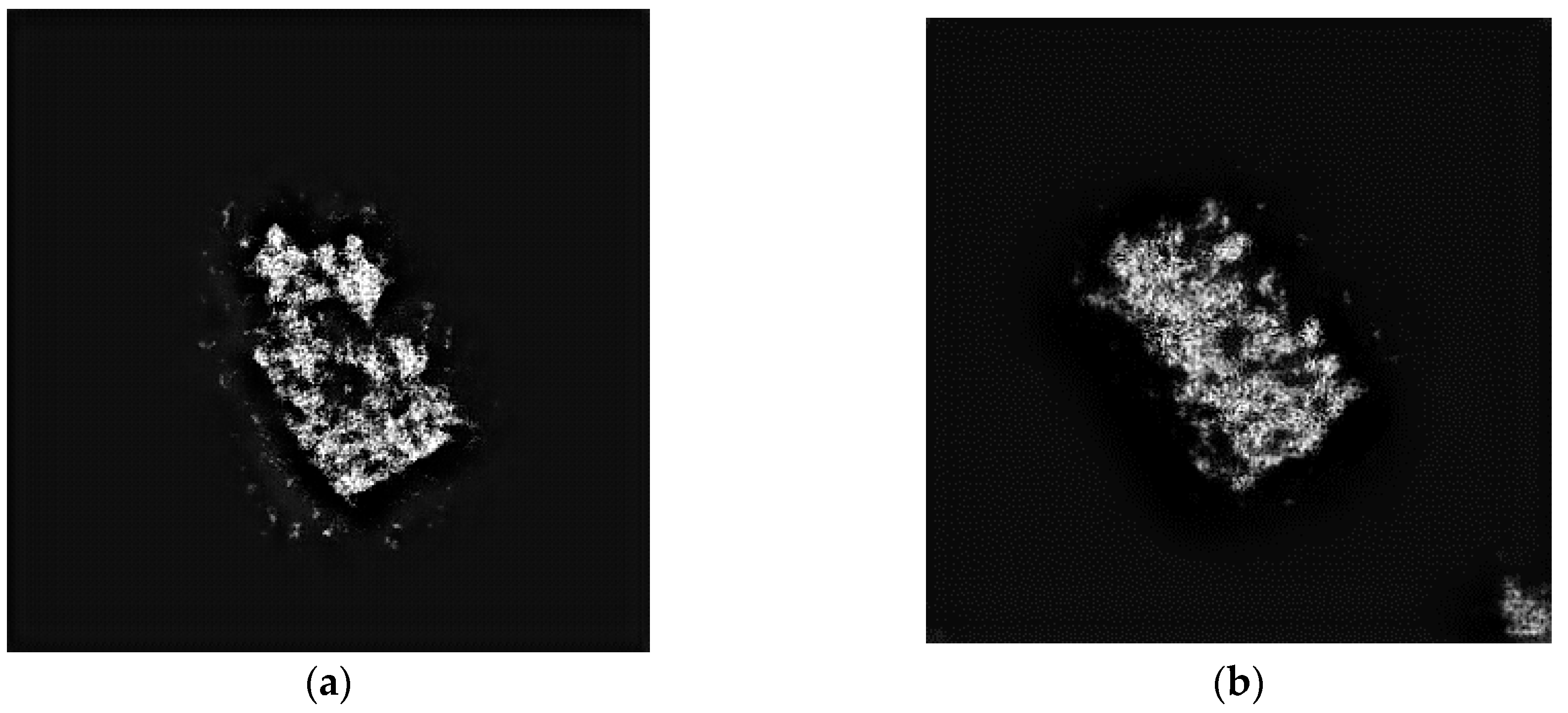 Remotesensing 11 00135 g013