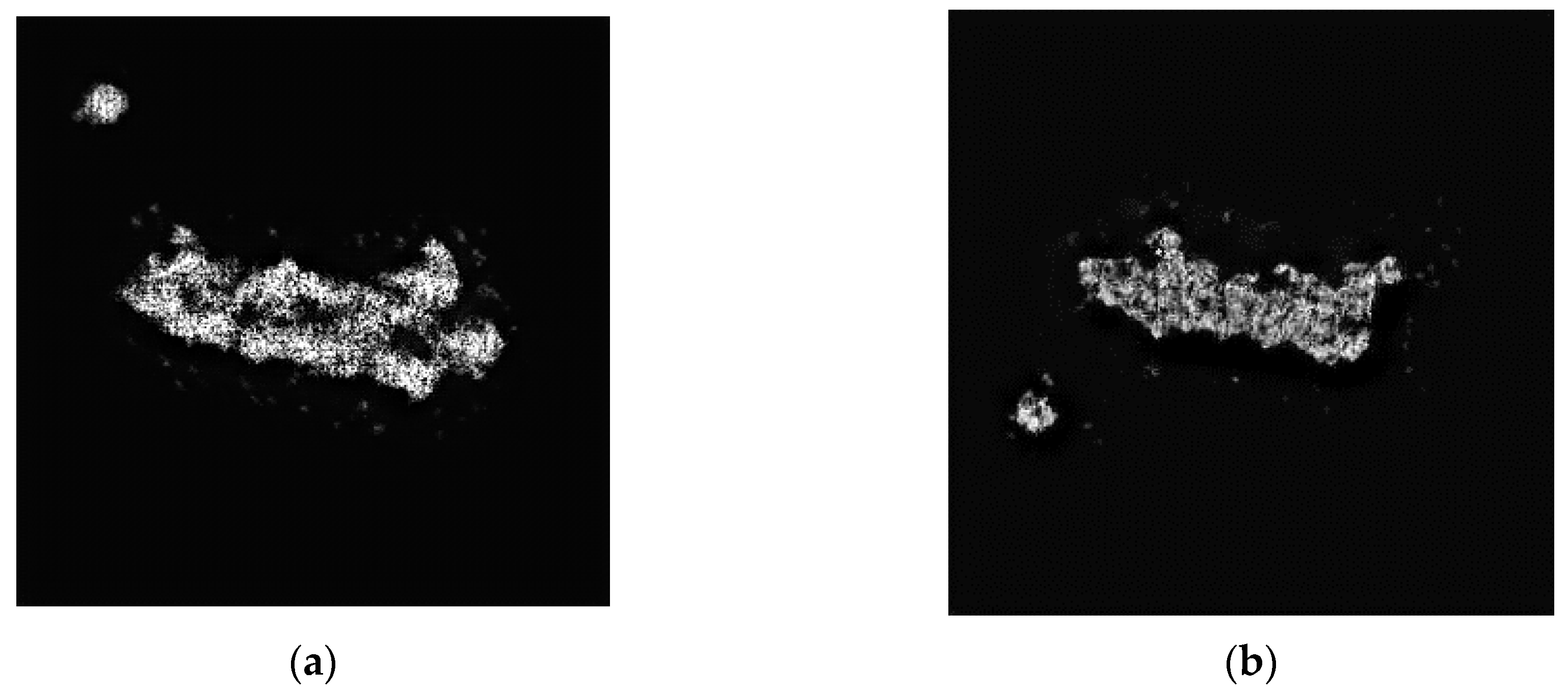 Remotesensing 11 00135 g014