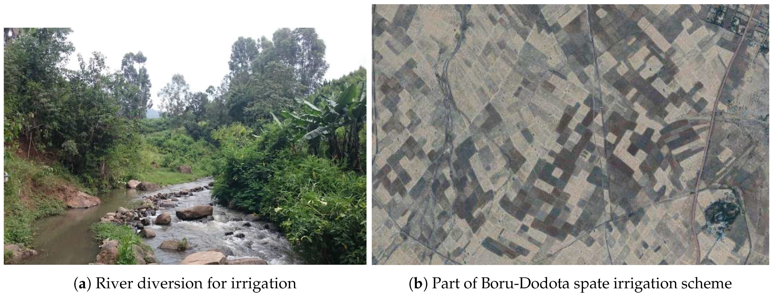 Remotesensing 11 00143 g008