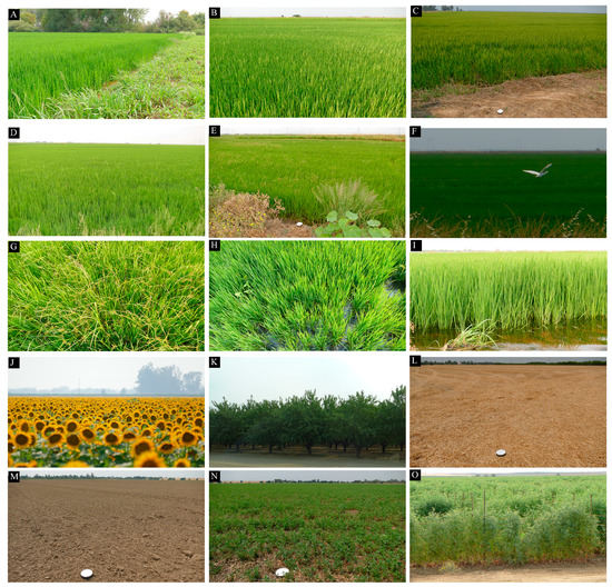 Remotesensing 11 00181 g0a2