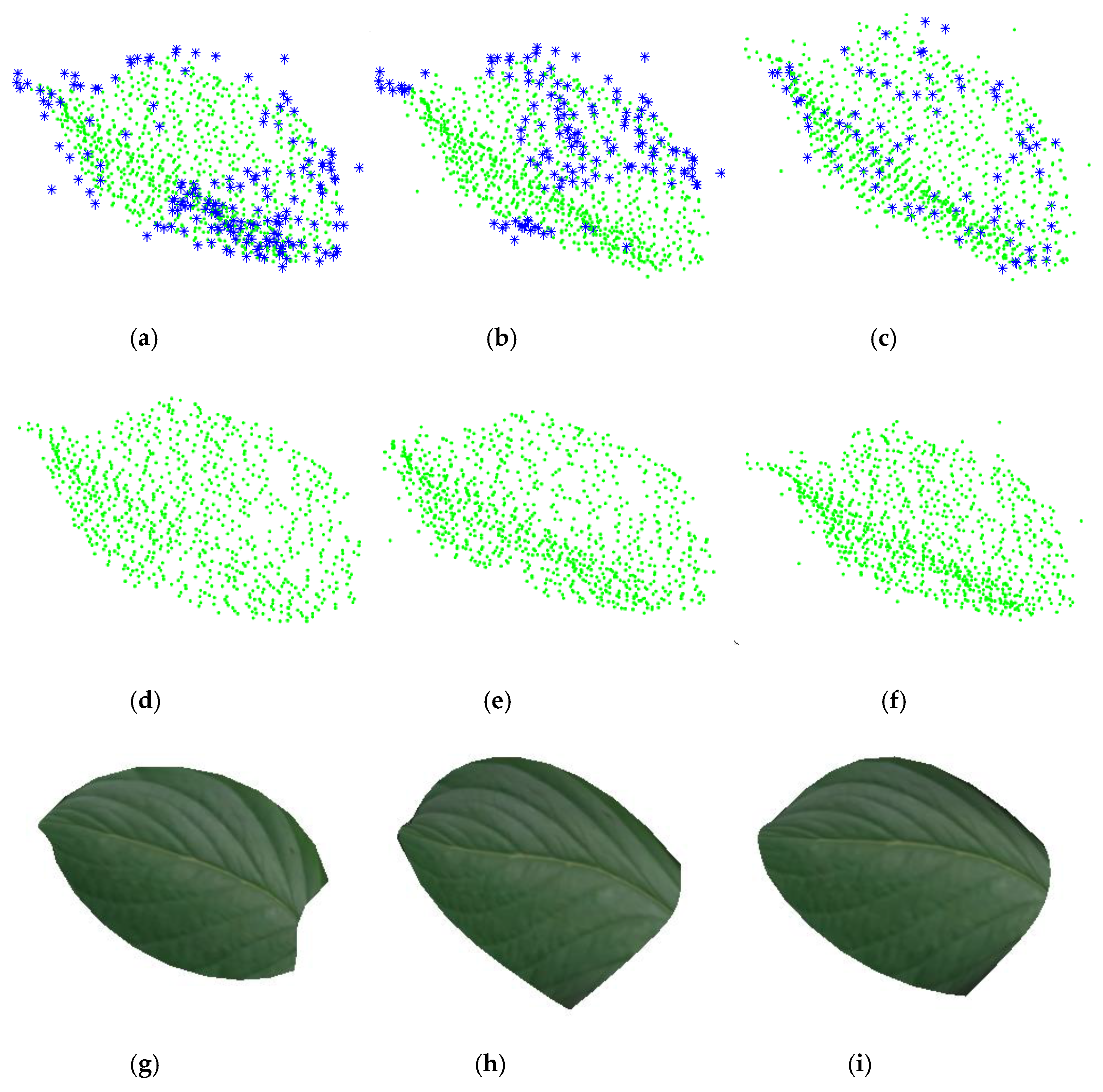 Remotesensing 11 00198 g005