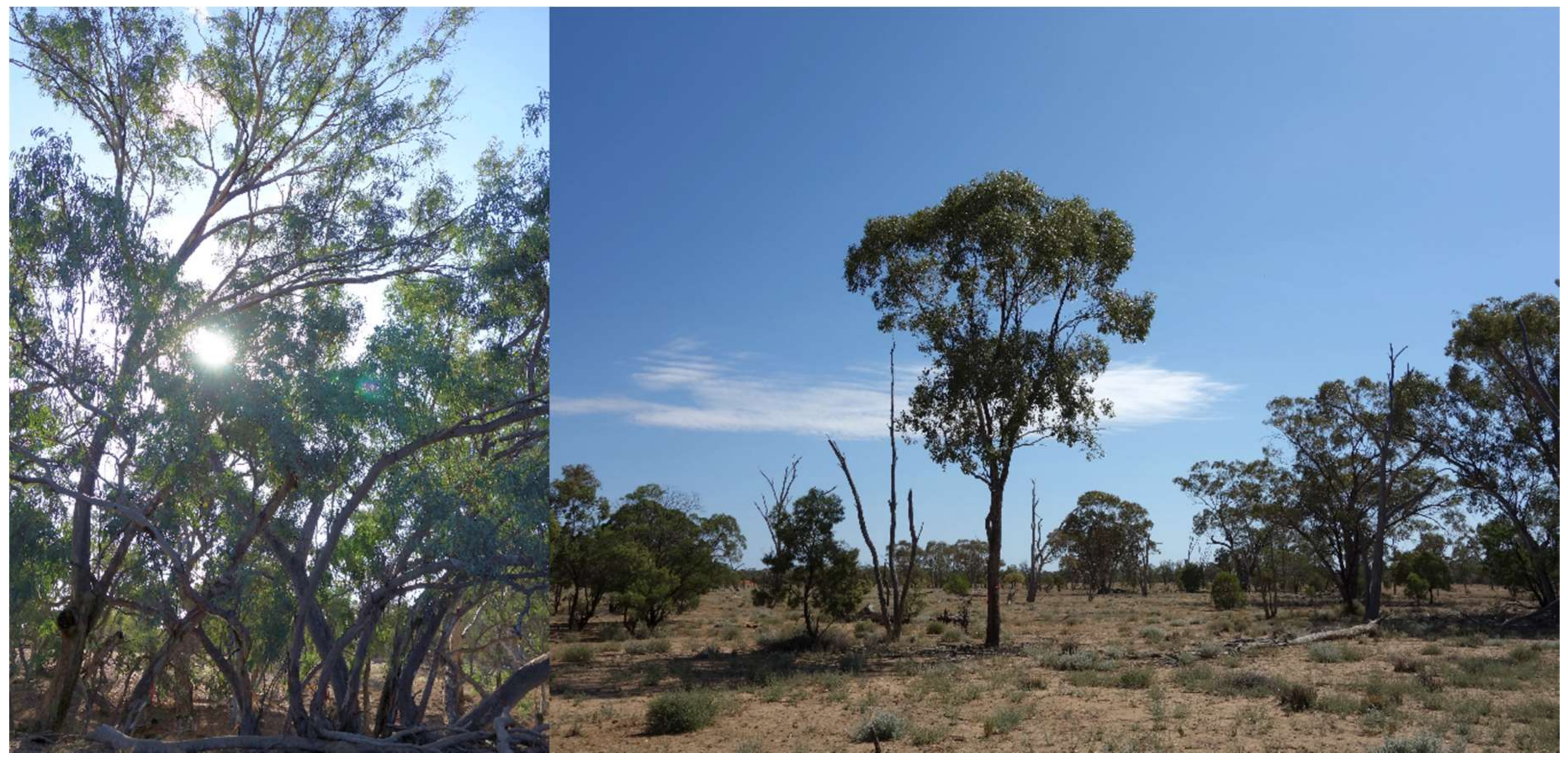 Remotesensing 11 00215 g002 Remotesensing 11 00215 g002