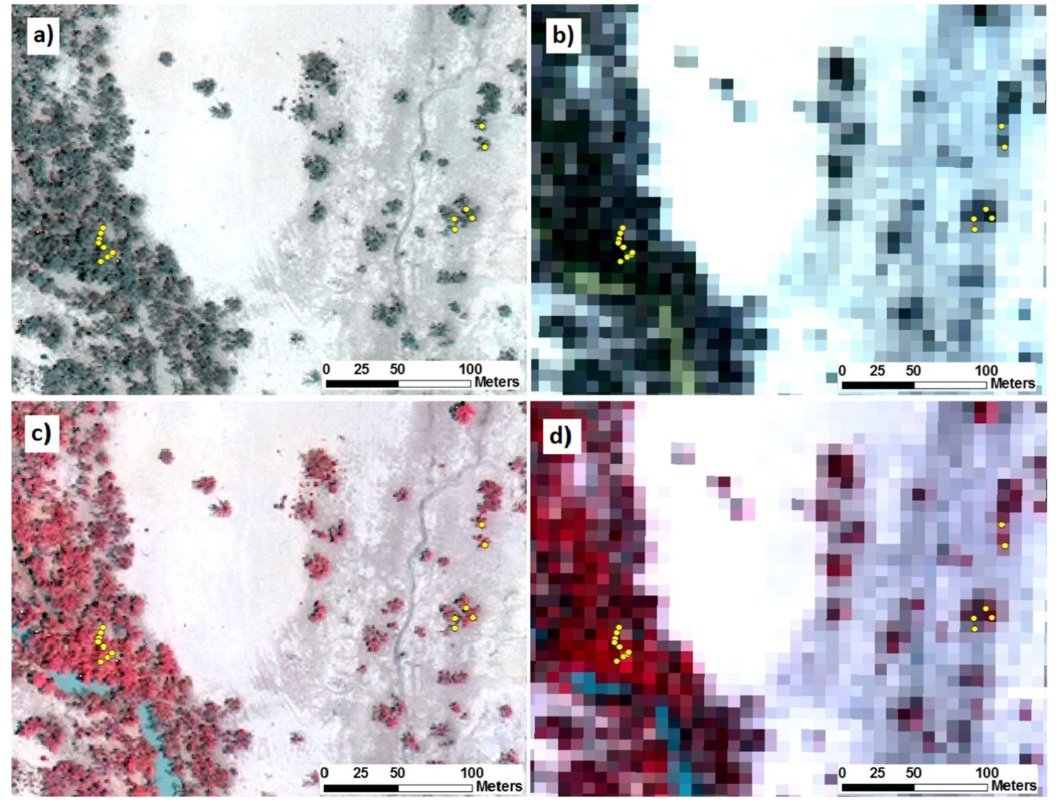 Remotesensing 11 00215 g004 Remotesensing 11 00215 g004